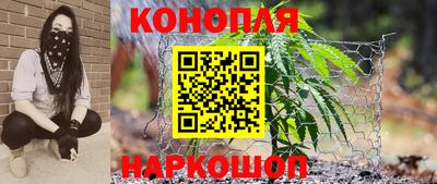 PSILOCYBIN Краснодар