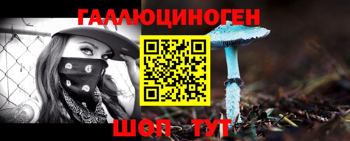 Псилоцибиновые грибы GOLDEN TEACHER Одинцово