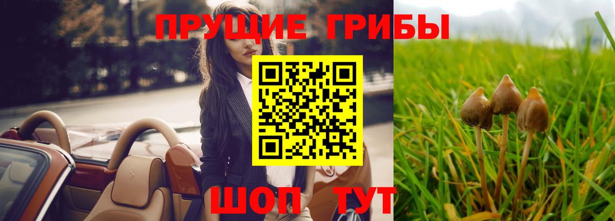 наркошоп  Вход с VPN  Одинцово  Галлюциногенные грибы MAGIC MUSHROOMS 